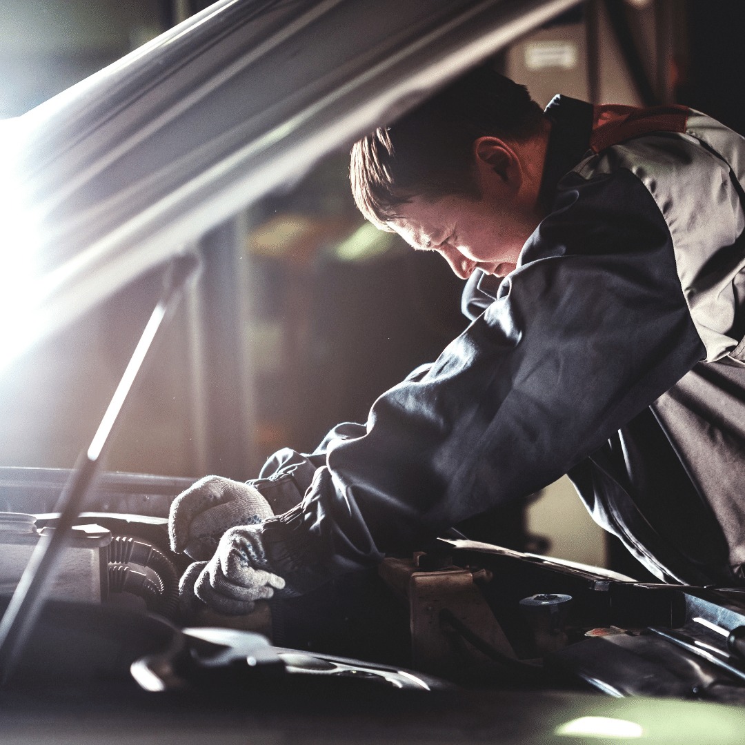 312224452_500858128718893_7013459658275374061_n