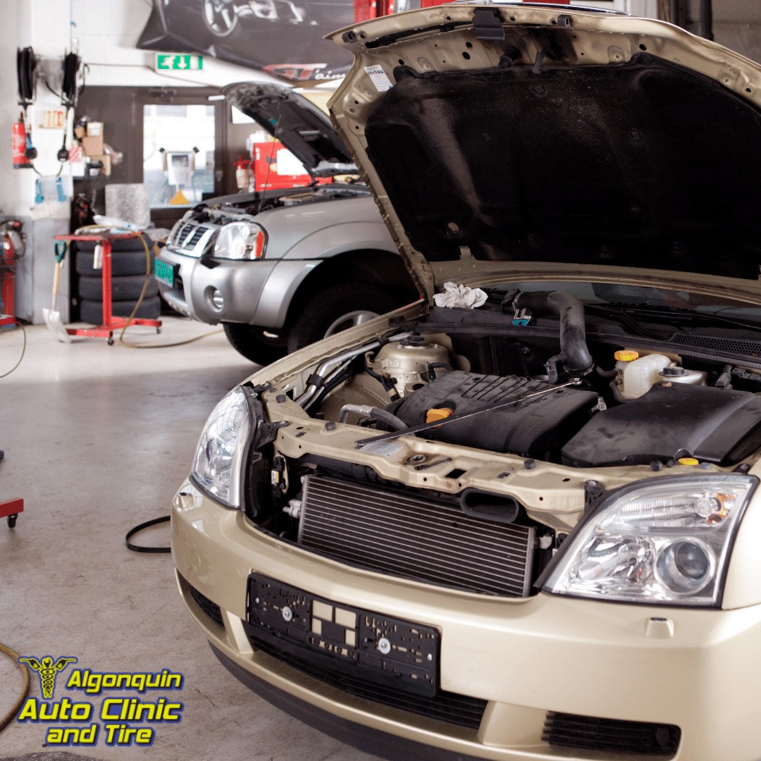 304790514_465819472222759_315398259442817818_n